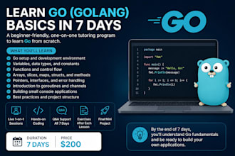 master go fundamentals in 7 days