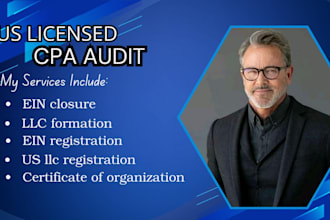 provide CPA audit support financial review and audit preparation