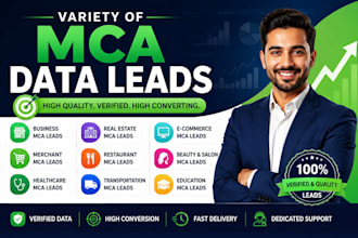 provide variety of mca data leads