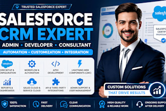 setup salesforce crm admin, developer, consultant and automation expert