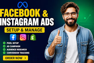 setup, manage facebook meta and instagram ads campaigns