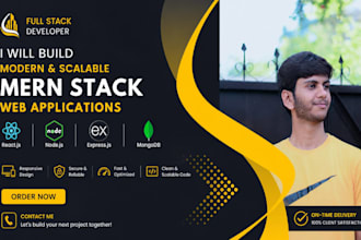 mern stack website developer