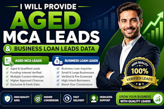 provide aged mca leads, business loan leads data