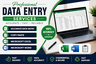 do accurate data entry, copy paste, typing and excel work