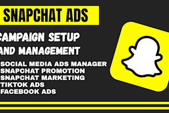 create and set up high converting snapchat ads campaign and manage snapchat ads
