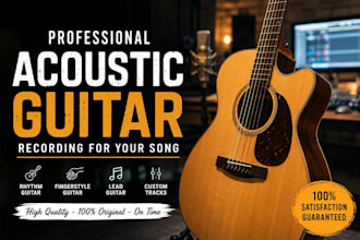 record professional acoustic guitar for your song