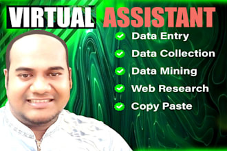 do expert real estate data entry and web research