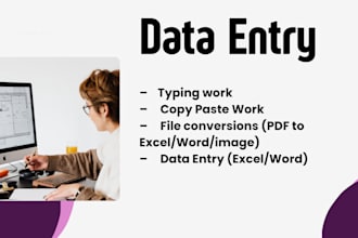 be your expert virtual assistant or data input specialist