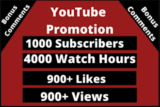 youtube channel promotion, view subscription, complete yt channel monetization