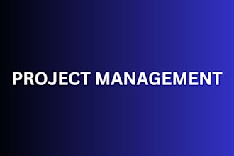 do project management task