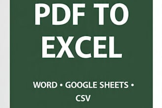 accurate data entry, excel and google sheets work