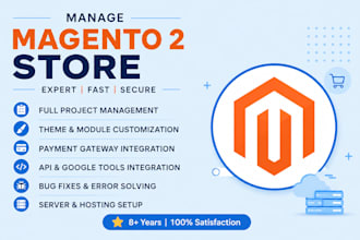 develop magento 2 store with API, google tools, payment and shipping setup