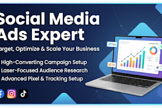manage your facebook plus instagram and tiktok ad campaign