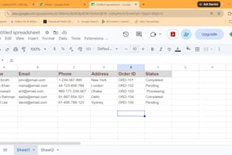 manage spreadsheets and organize data professionally