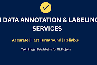 provide an accurate ai data annotation and labelling services