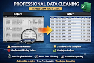 proffesionally transform your messy data into valuable insights