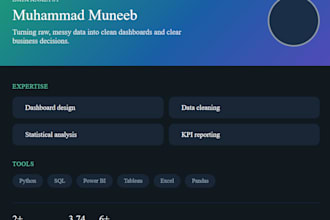 create a professional tableau dashboard