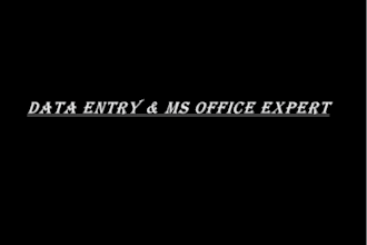 do professional data entry microsoft excel and word document formatting