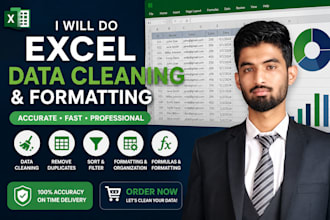 microsoft excel data cleaning and formatting