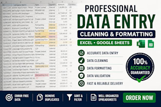 handle excel data entry, formatting, cleaning