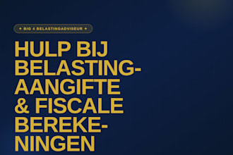 prepare your dutch tax return, big four expertise