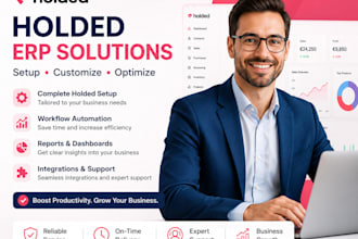 set up, customize, and optimize your holded erp system