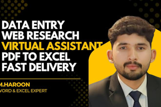 do web research data entry copy paste and virtual assistant tasks