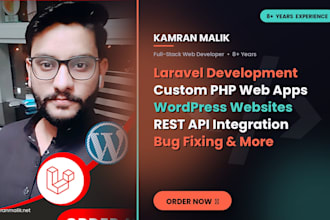 develop a custom laravel PHP web application or API