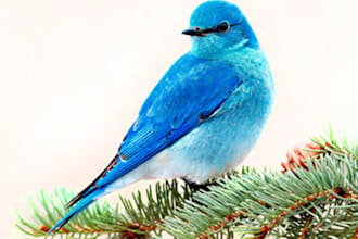 tweet message business service product link 15,500 REAL Twitter followers 3 time
