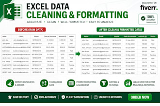 do excel data cleaning, sorting, and data formatting
