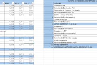 build an automated financial planning and forecasting excel model