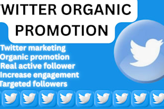 do professional x twitter video promotion for organic growth using ads