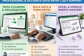 be your expert data entry specialist