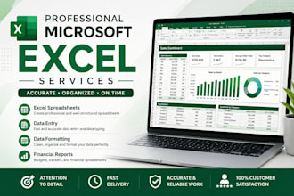 create and format professional microsoft excel spreadsheets