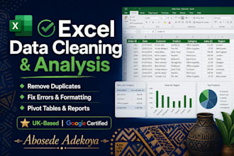 clean, organise and analyse your excel data professionally