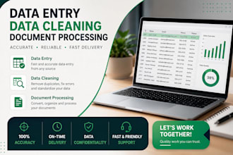 do data entry, data cleaning and document processing