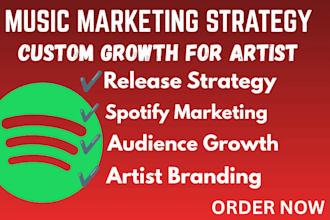 develop a complete music marketing strategy and growth roadmap for your release