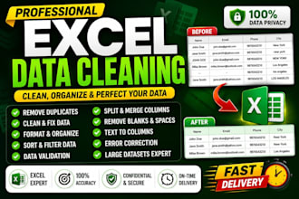 do excel data cleaning, formatting, remove duplicates and organize data