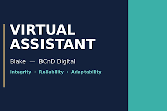 be your virtual assistant for email, scheduling and admin tasks