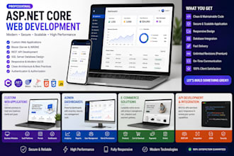 develop a professional  web application using dotnet framework