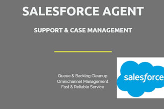 be your salesforce customer support and case management agent