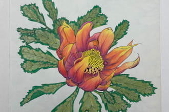 transform your coloring page by hand
