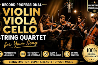 record professional violin viola cello string quartet for your song