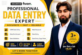 do CRM data entry, web research, data enrichment and copy paste