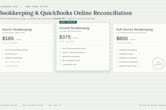 do your bookkeeping and reconciliation as a licensed CPA