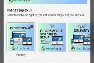 build a professional wordpress