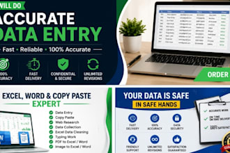do data entry, copy typing and PDF conversion