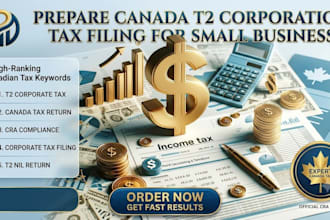 do canadian t2 corporate tax return preparation, t2 nil return and cra filing