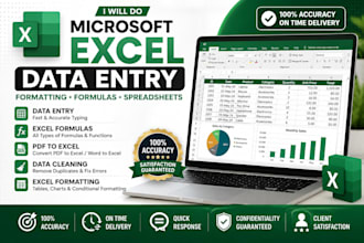 do microsoft excel data entry, formatting, formulas and spreadsheet tasks