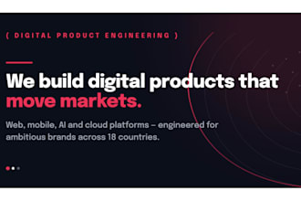 build a custom web application or saas dashboard